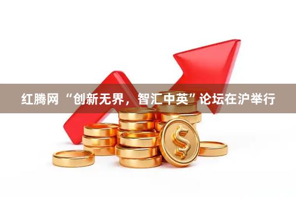 红腾网 “创新无界，智汇中英”论坛在沪举行