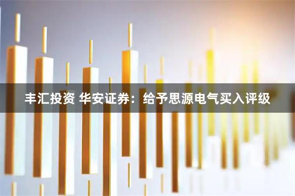 丰汇投资 华安证券：给予思源电气买入评级