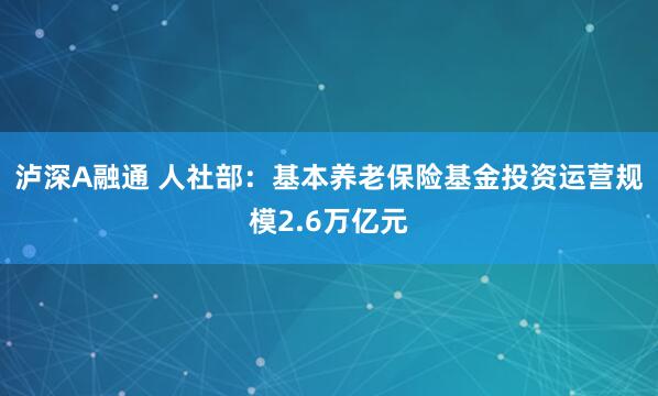 泸深A融通 人社部：基本养老保险基金投资运营规模2.6万亿元