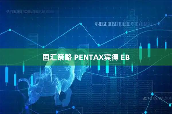 国汇策略 PENTAX宾得 EB